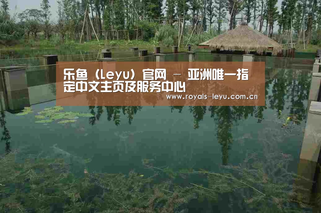 案例展示二(图1)