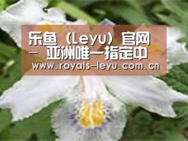 产品名称二