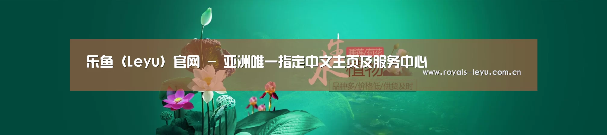 鲜花水草花卉网站模板