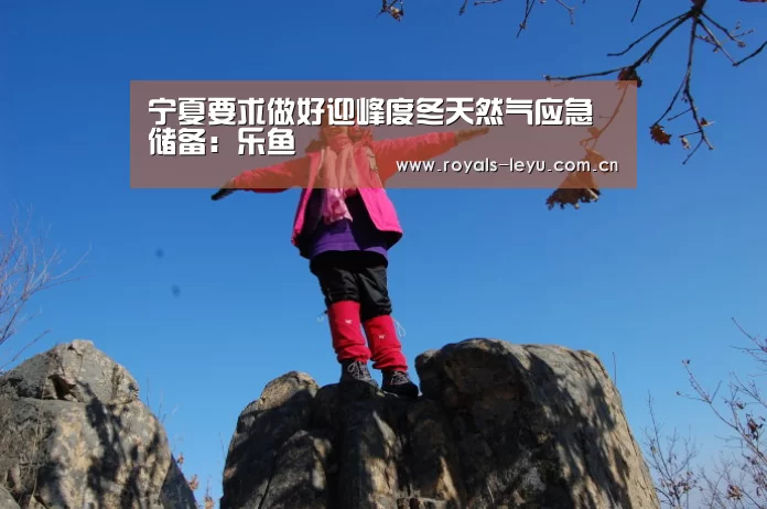 宁夏要求做好迎峰度冬天然气应急储备:乐鱼(图2) 乐鱼