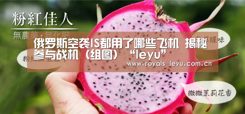 俄罗斯空袭IS都用了哪些飞机 揭秘参与战机(组图)“leyu”(图3) 俄罗斯空袭IS都用了哪些飞机 揭秘参与战机(组图)“leyu”(图3)
